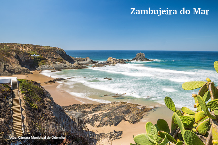 FOTOS PRAIA_ZAMBUJEIRA